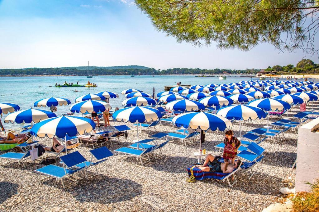 Appartamento Lana Apartman Medolino Esterno foto